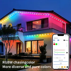 RGBW DC24V Holiday Eaves Decorative Lights Smart LED Pixel Lights